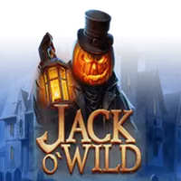 Jack O'Wild